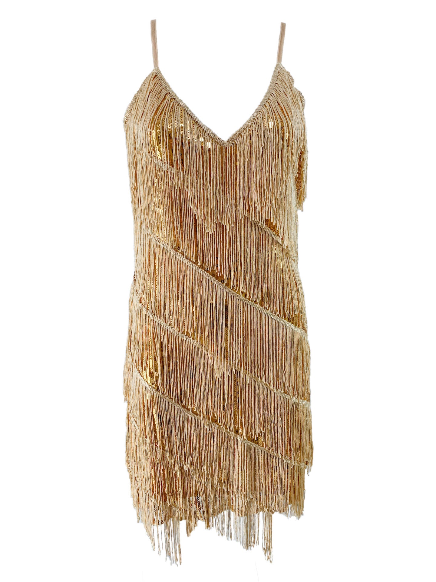 Sequined Fringe Latin Dance Dress with Suspenders