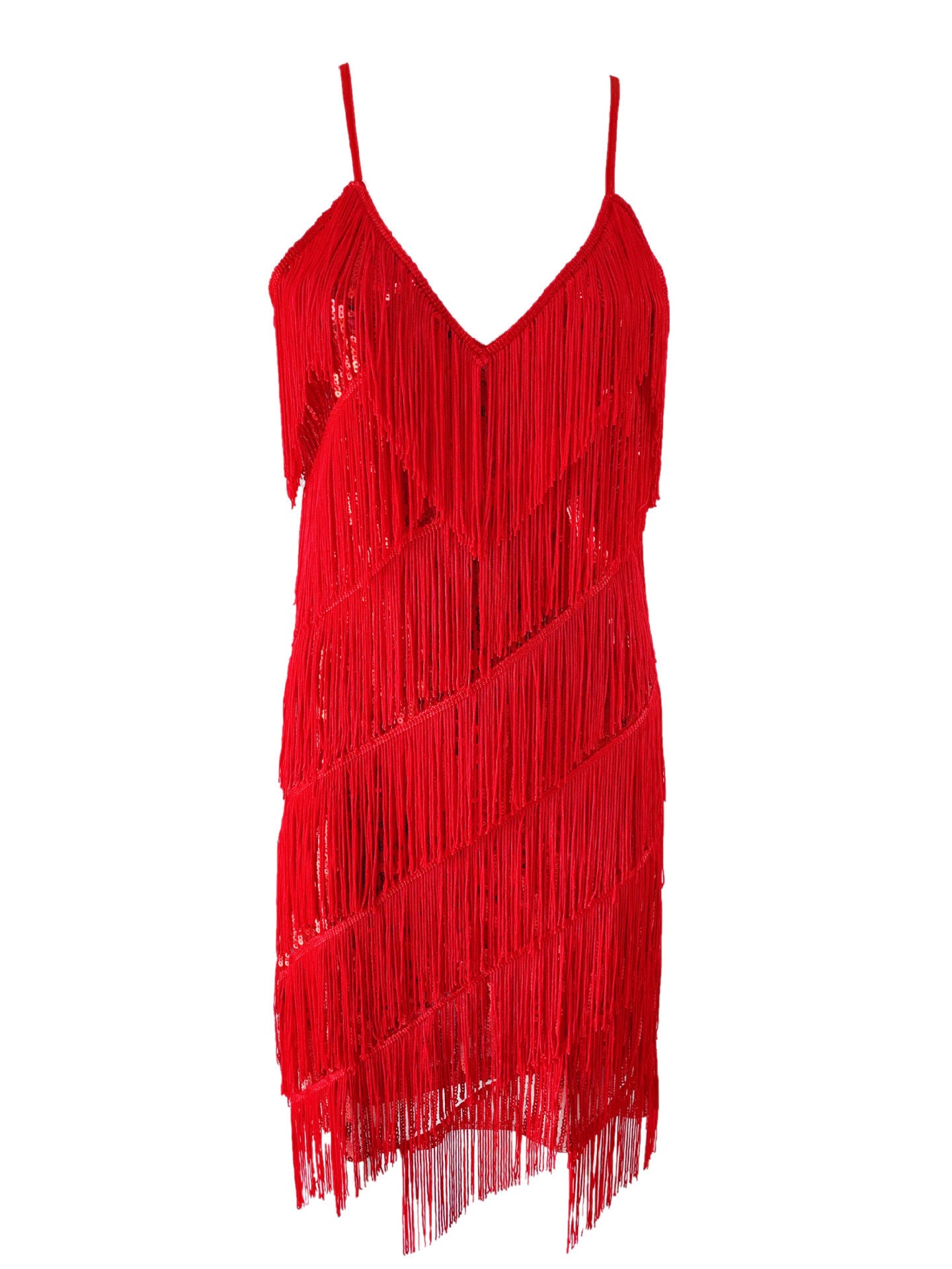 Sequined Fringe Latin Dance Dress with Suspenders